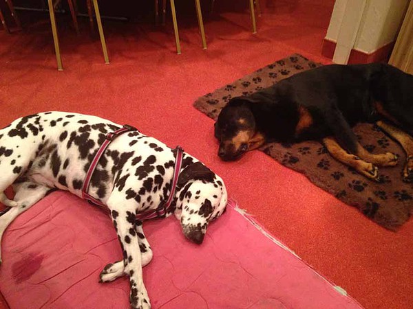 med_Die Arbeit macht uns fertig!.jpg (600 x 450)